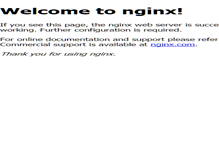 Tablet Screenshot of neighborhood.holidays.net